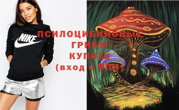 а пвп мука Гусиноозёрск