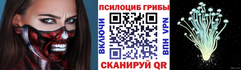 Купить закладки  Кондрово  Галлюциногенные грибы MAGIC MUSHROOMS 
