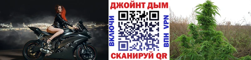 Шишки марихуана Amnesia  Купить  Кондрово 